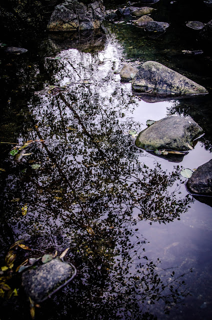 DSC_0528