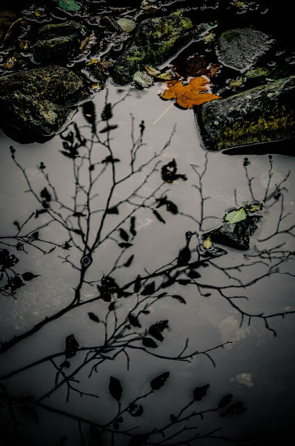 DSC_0565