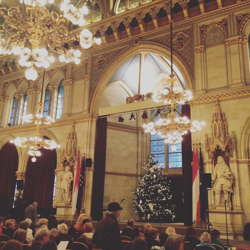  târg de crăciun concert coral Viena